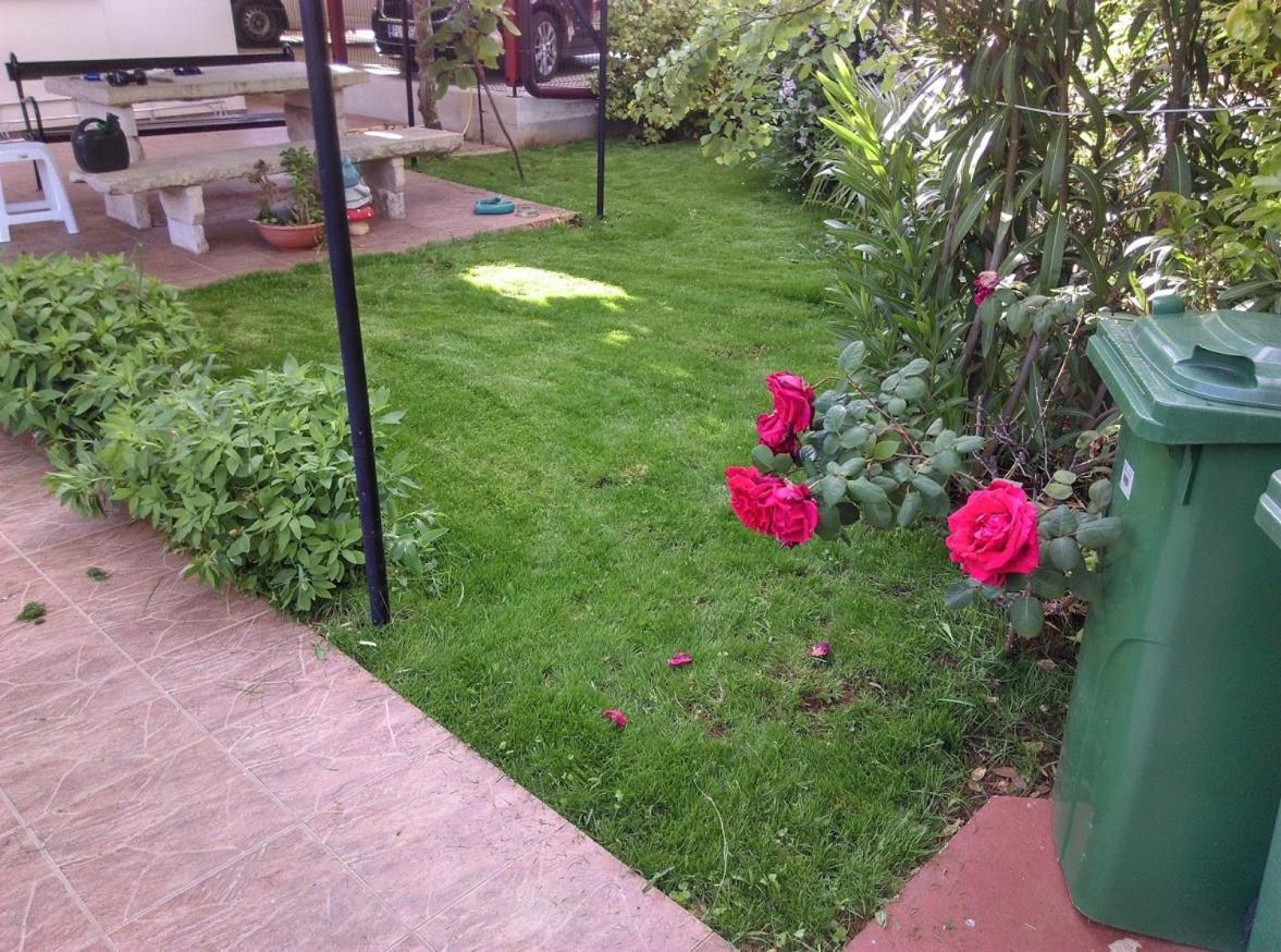 Apartment Casa Del Sol Novigrad  ภายนอก รูปภาพ