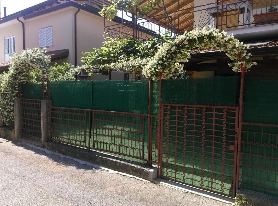 Apartment Casa Del Sol Novigrad  ภายนอก รูปภาพ
